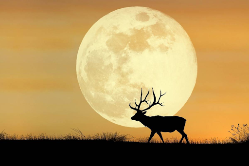 Women's Full Moon Circle